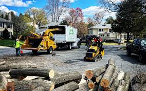 Best Leaf Removal  in Highland, NY