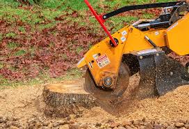 Best Aeration Services  in Highland, NY